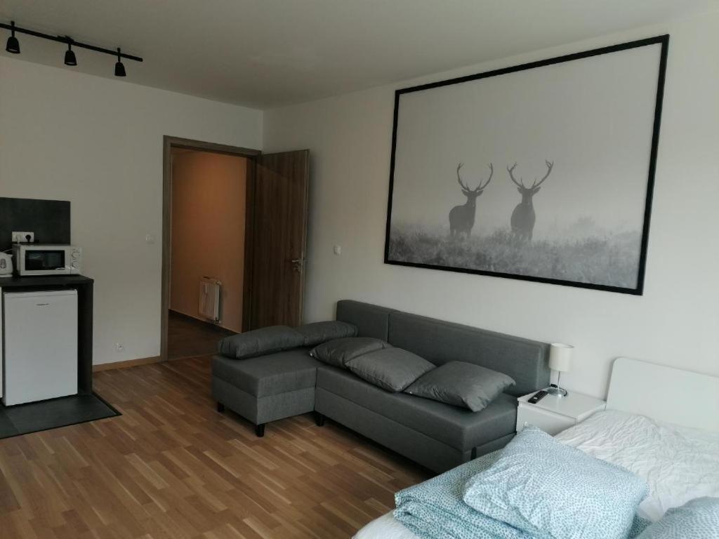 Brand New Studio Apartment #71 With Free Secure Parking In The Center Praga Esterno foto